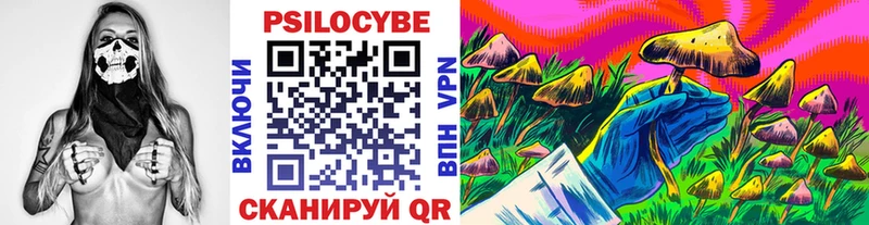 сайты даркнета состав  Малгобек  Галлюциногенные грибы прущие грибы 